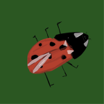 The Lady-Bug Club