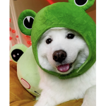 #Froggy squad :)
