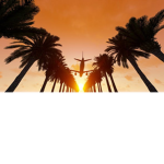 Tropical Airlines Roblox Group