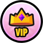 👑 VIP