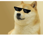 Doge and co