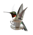 a hummingbird fan club