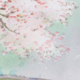 ‧˚❀‧.˚