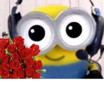 minions closet