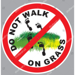 obby but you cant step on grass