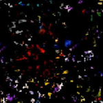 glitch infection