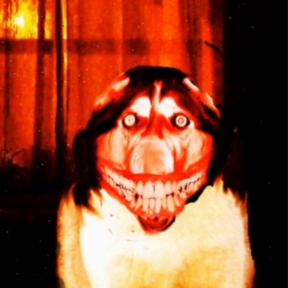 Smile Dog Roblox decal