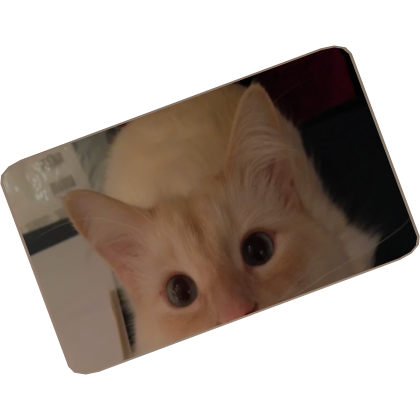 Mahmoud Membership thumbnail