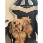 Poop Group Studios