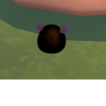 Vel’s Dummy Club