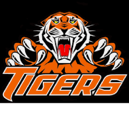Tiger's Obby