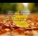 모여라 상어들!