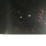 Twisted freddy fanclub (alpha)