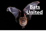 Bats United~!
