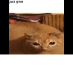 Church Of Gwa Gwa