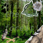 therian forest !