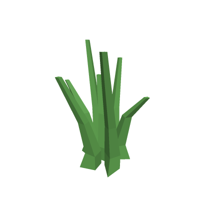TTD 3 - Grass