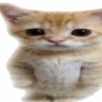 t∪ri ip ip ip