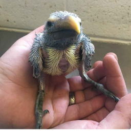 :3