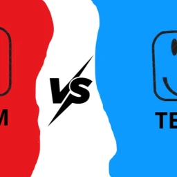 Blue Vs Red  icon