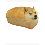 Doge is the Hoge