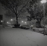 winter secrets