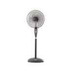 Standing Fan Group