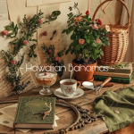 ~ Hawaiian Bahamas ~