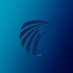 MSR | Egyptair