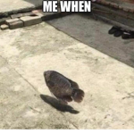0boink0