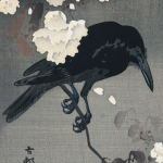 krōw
