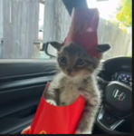 Loner Ent.