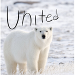 POLOR bears United