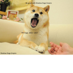 Shadow Doge Empire