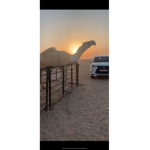 قروب قروب قروب قروب قروب حق ي ترا مدري وش اقول