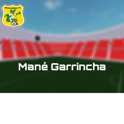 Mané Garricha