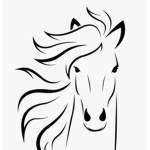High Meadows Equestrians <3