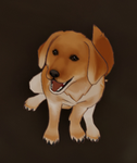 Doggo!!!