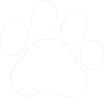 Pets team <3