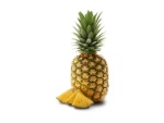 pineapple pineapple pineapple pineapple