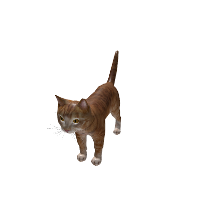 the cat gun