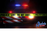 bail bonds police