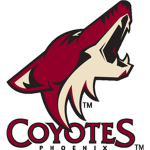 phoenix coyotes fans