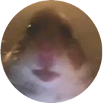 Welp more robux