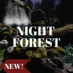 Night Forest