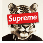 _Surpreme_