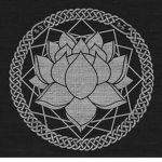 The Black Lotus Order