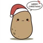 Potato Potato potatoes and more potatoes