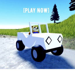Racing simulator