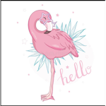 The Golden Flamingo’s
